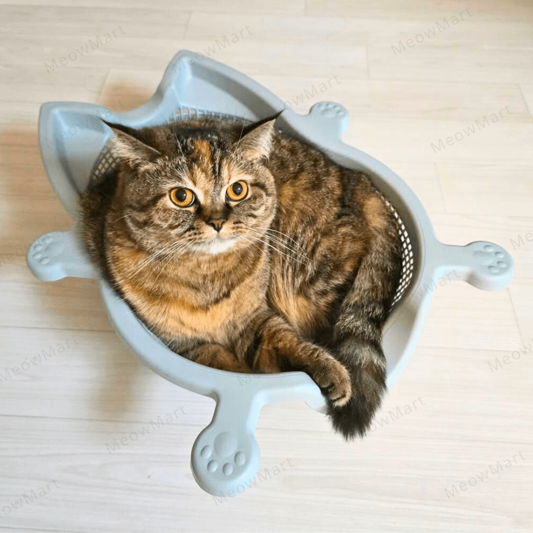 韓國 CATBANG 菜籃子貓窩