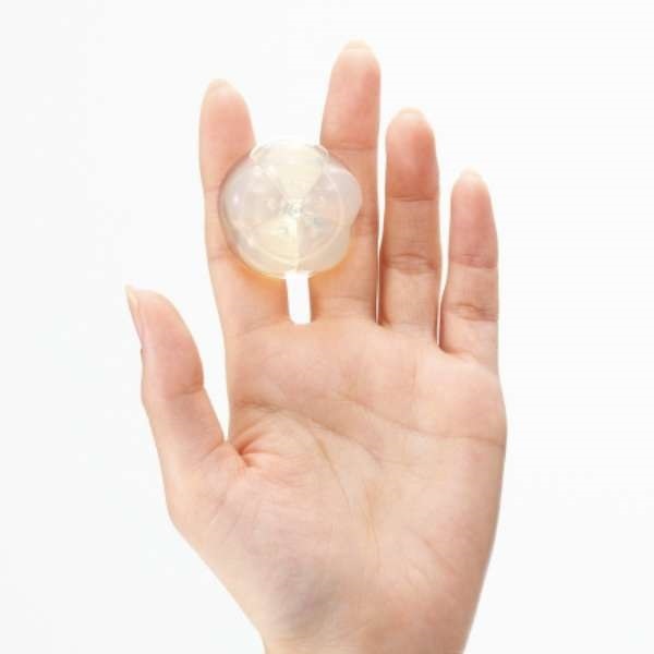 日本 - iroha SHELL 貝殼