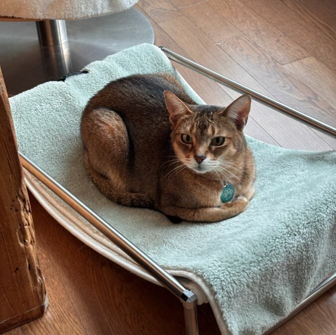 ggh ♥︎ EQL．嫩芽綠系列┃摺疊小毯