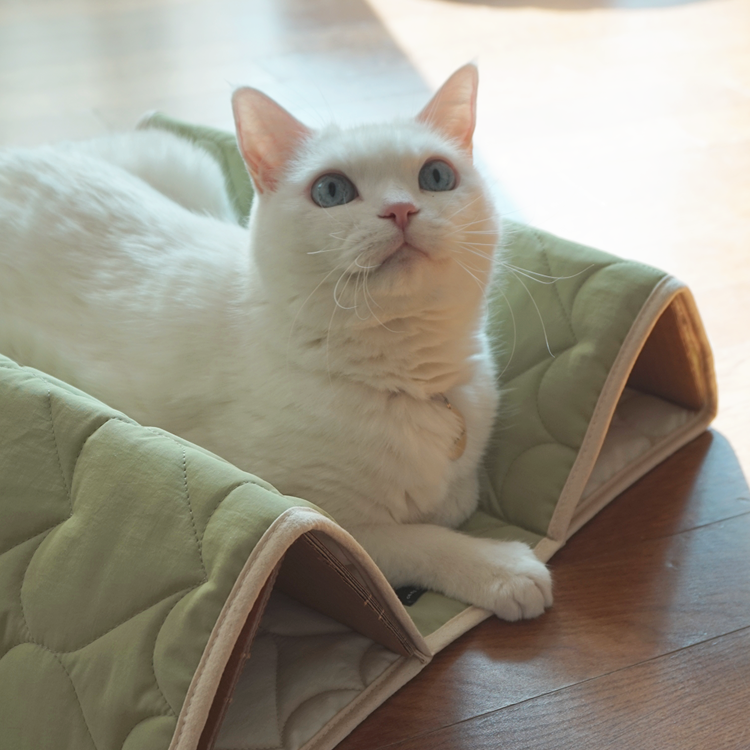 ggh ♥︎ EQL．嫩芽綠系列┃屋簷遊戲墊