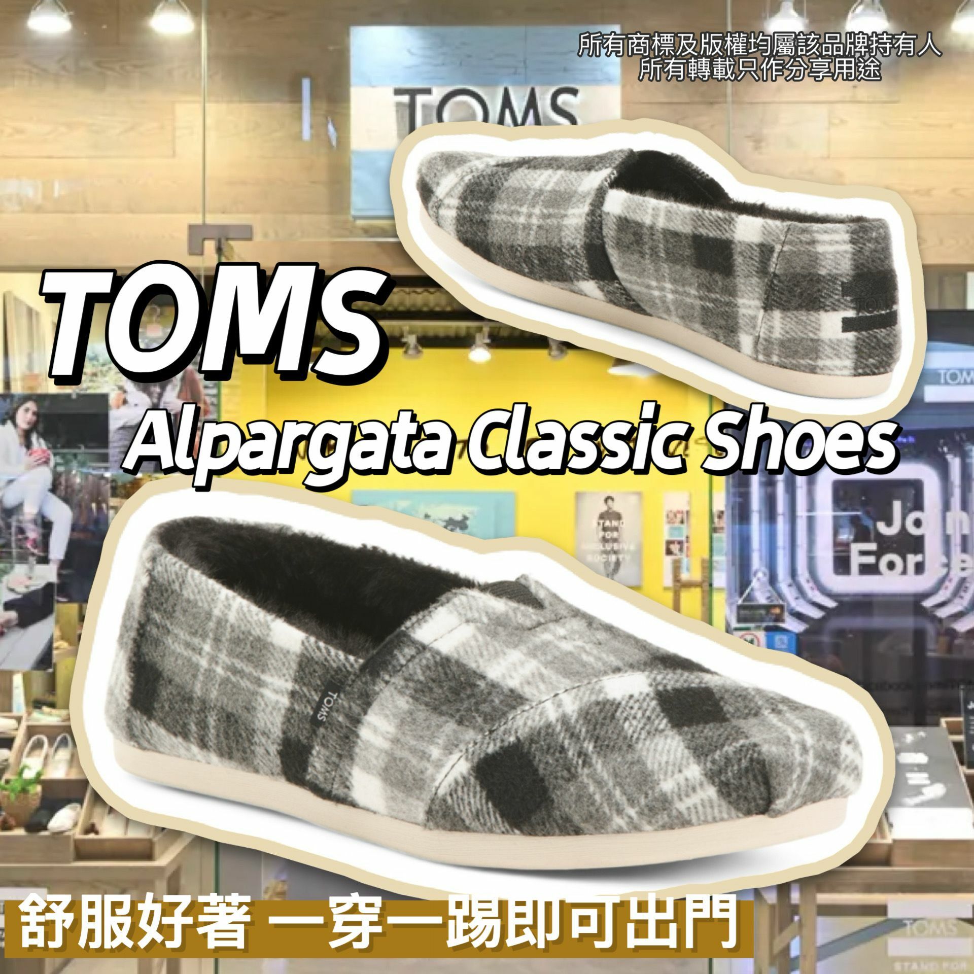 【預購】TOMS G032150 Alpargata Classic Shoes