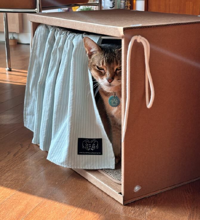 ggh ♥︎ EQL．嫩芽綠系列┃躲貓貓盒