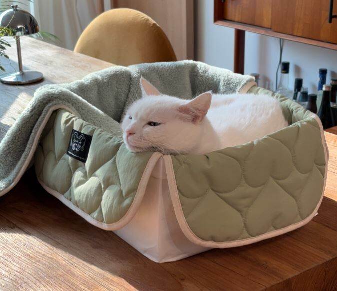 ggh ♥︎ EQL．嫩芽綠系列┃奶油紙袋✤愛心格紋軟墊