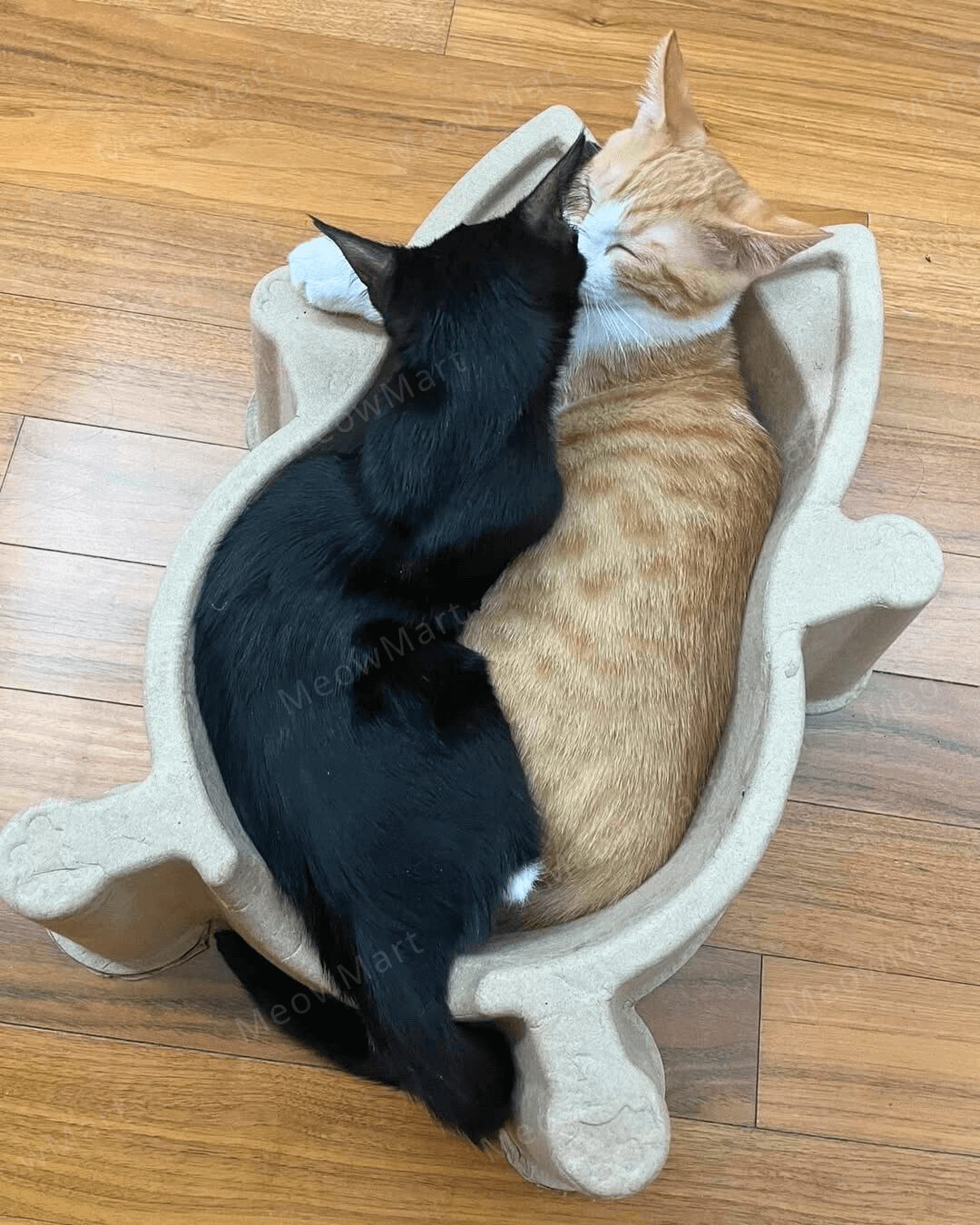 CATBANG 天然紙漿貓窩