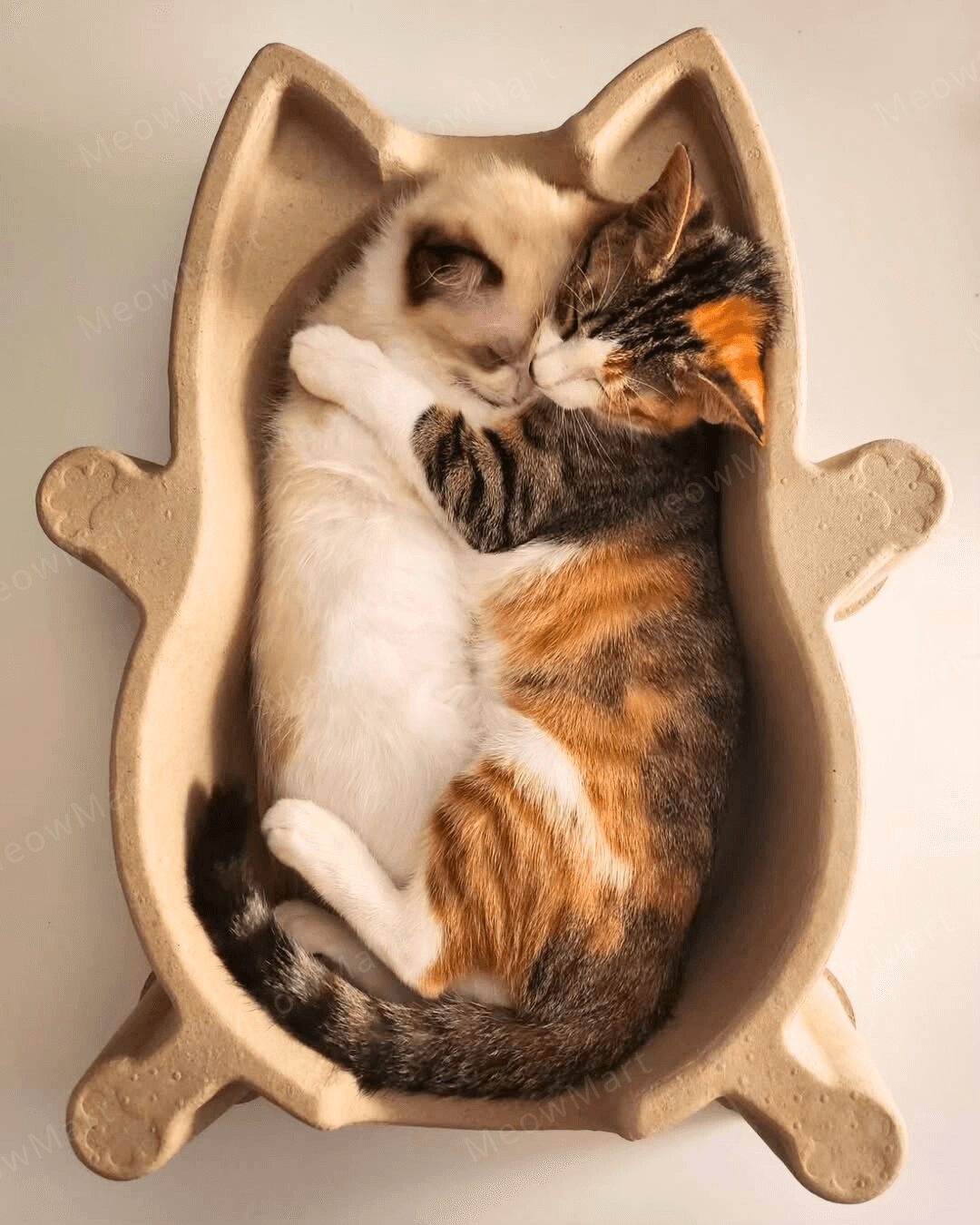 CATBANG 天然紙漿貓窩