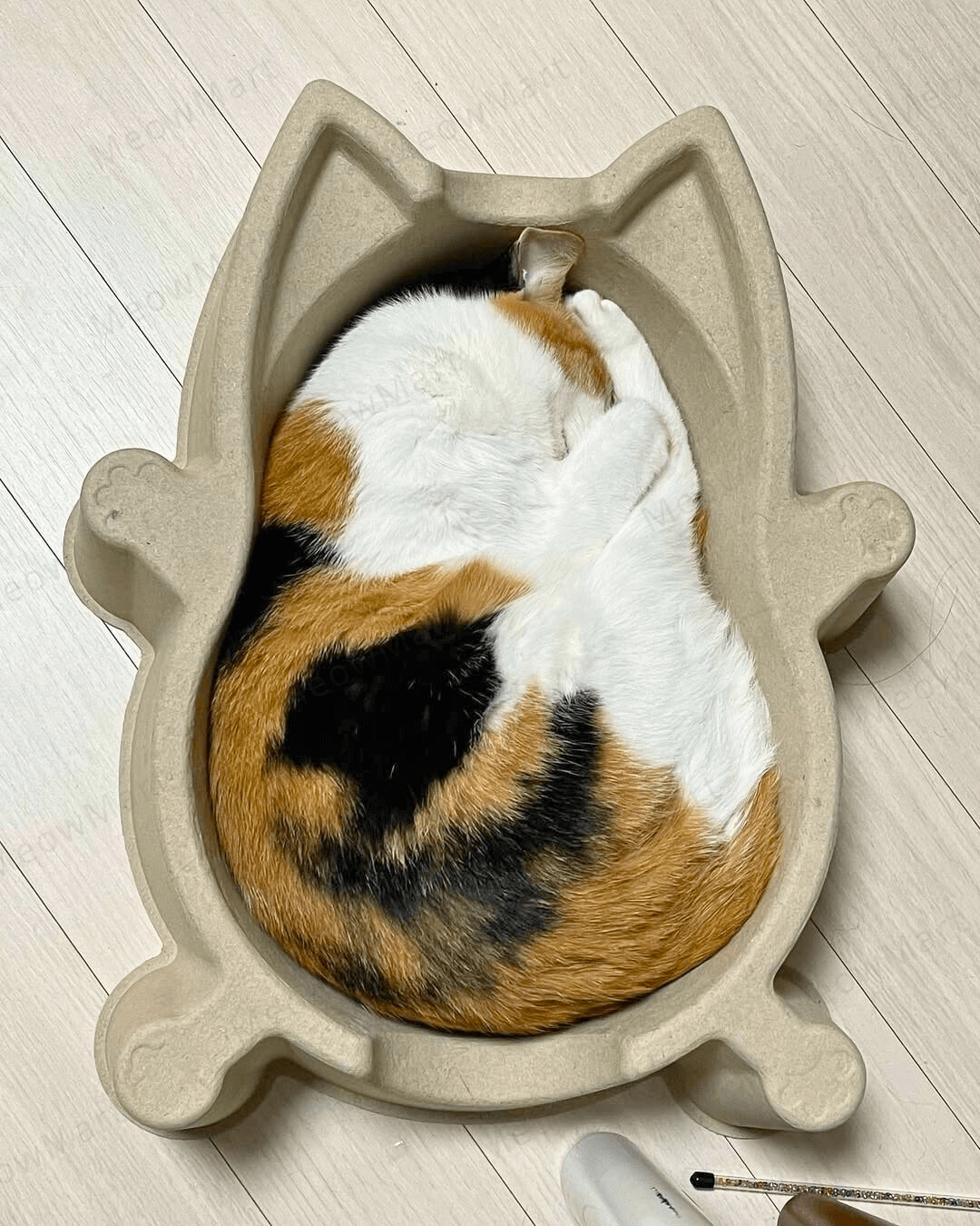 CATBANG 天然紙漿貓窩