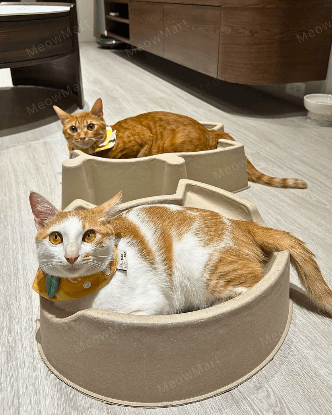 CATBANG 天然紙漿貓窩