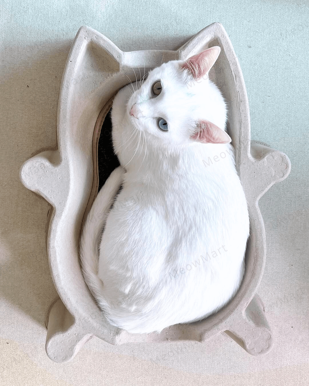 CATBANG 天然紙漿貓窩