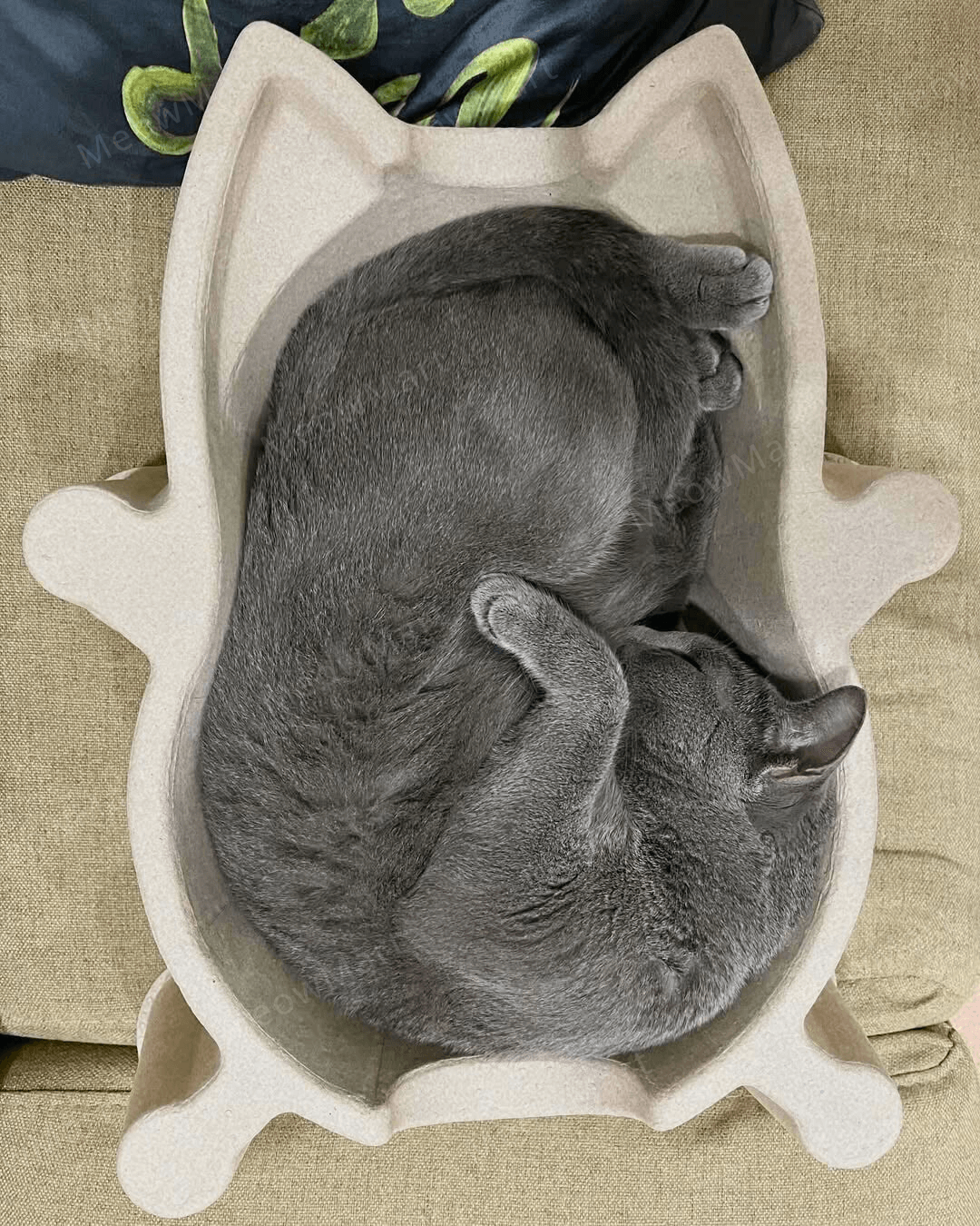CATBANG 天然紙漿貓窩