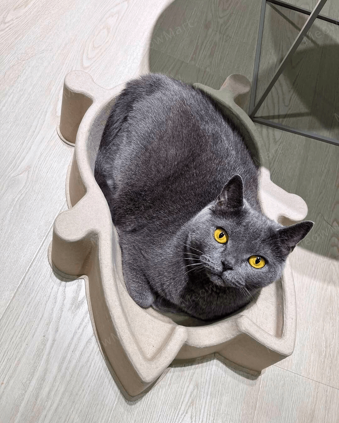 CATBANG 天然紙漿貓窩