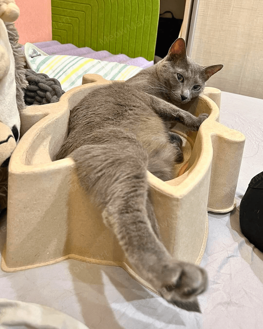 CATBANG 天然紙漿貓窩