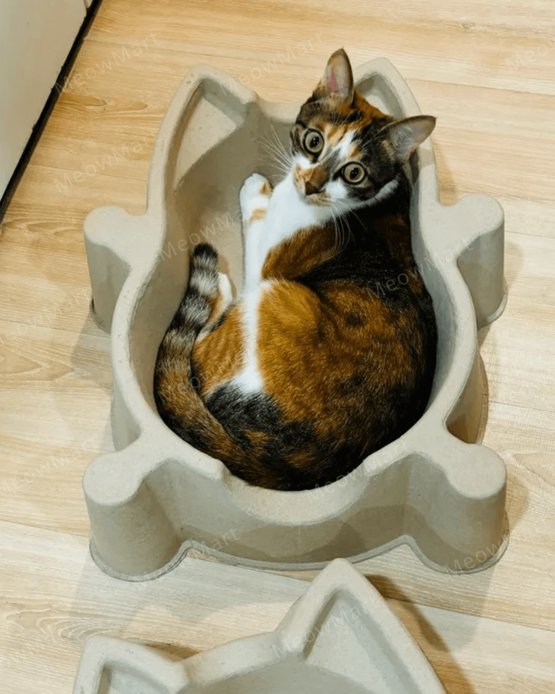 CATBANG 天然紙漿貓窩