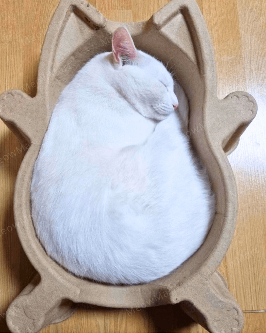 CATBANG 天然紙漿貓窩