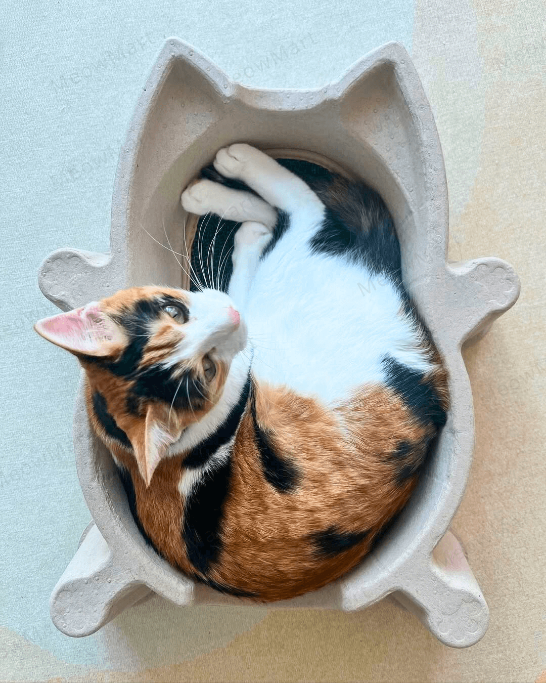 CATBANG 天然紙漿貓窩