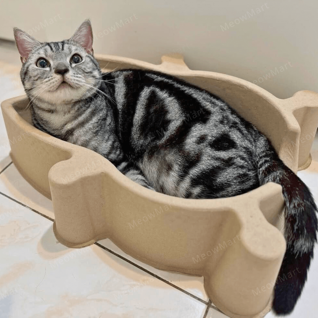 【現貨8折】韓國 CATBANG 天然紙漿貓窩