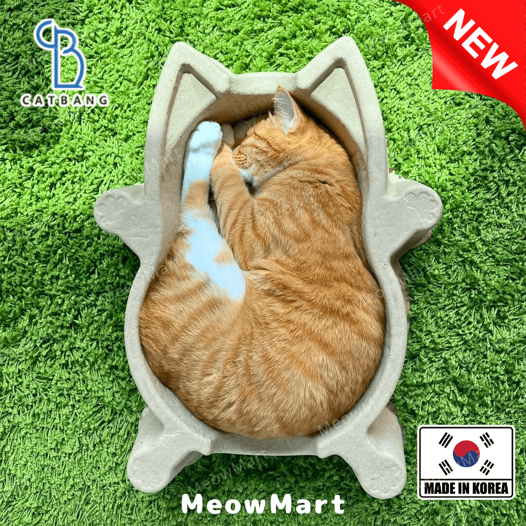 catbang 紙漿貓窩