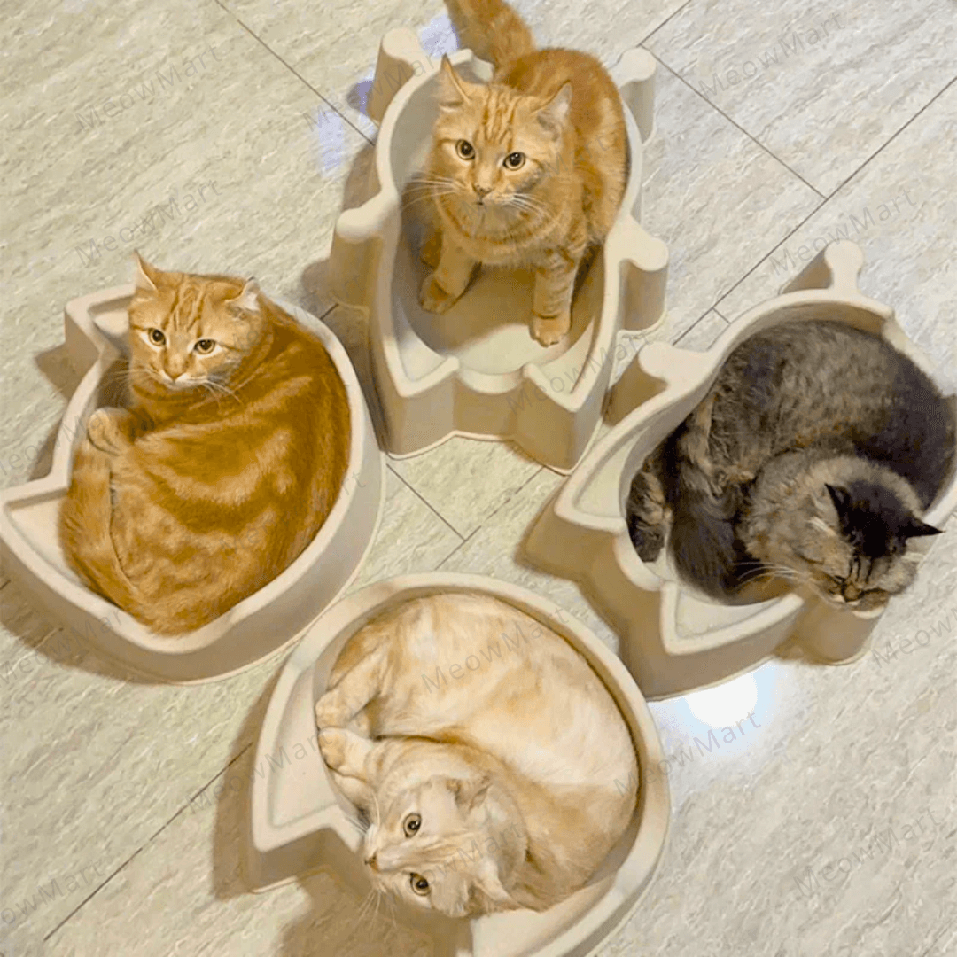 catbang 紙漿貓窩