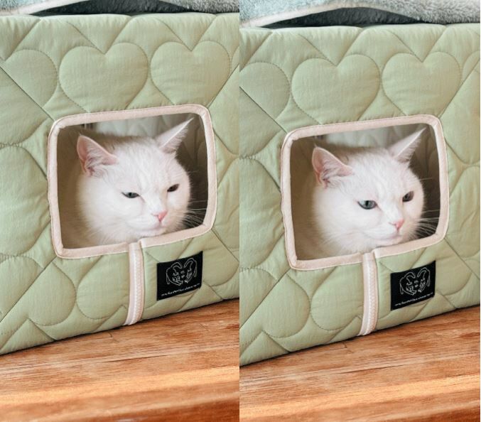 ggh ♥︎ EQL．嫩芽綠系列┃愛心格紋秘密方窩（含抓墊）