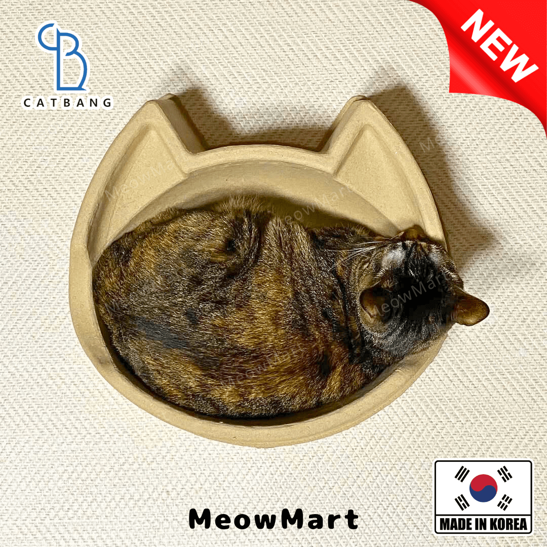 cat bang 紙漿貓窩 (貓頭款)