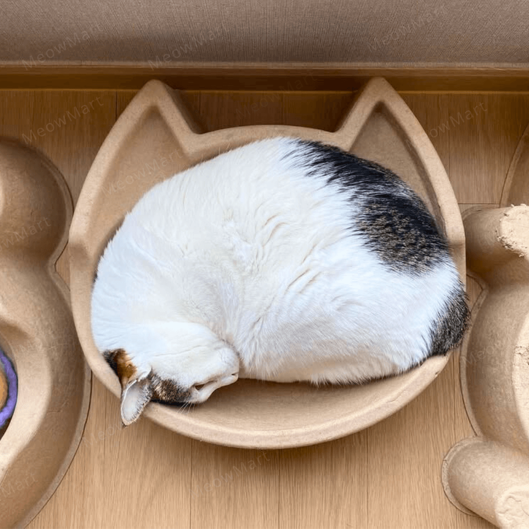 cat bang 紙漿貓窩 (貓頭款)
