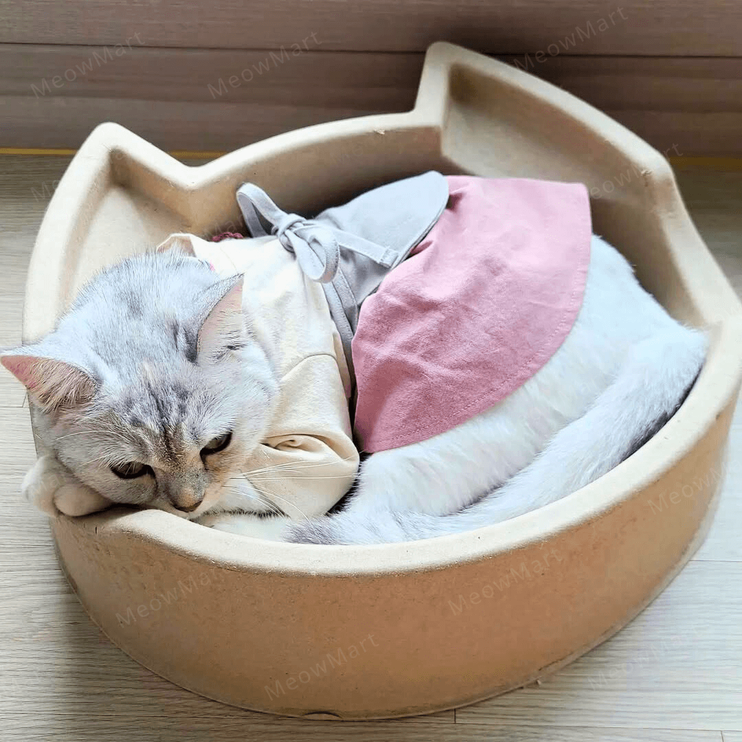 cat bang 紙漿貓窩 (貓頭款)