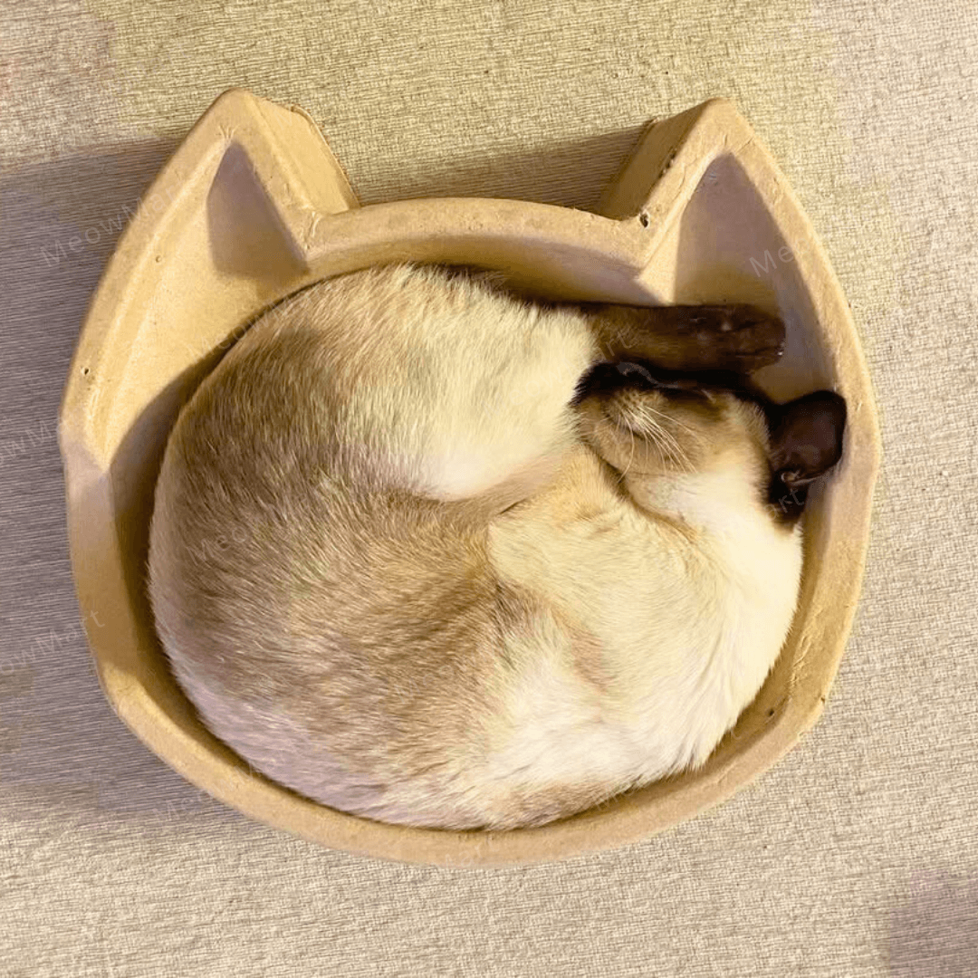cat bang 紙漿貓窩 (貓頭款)
