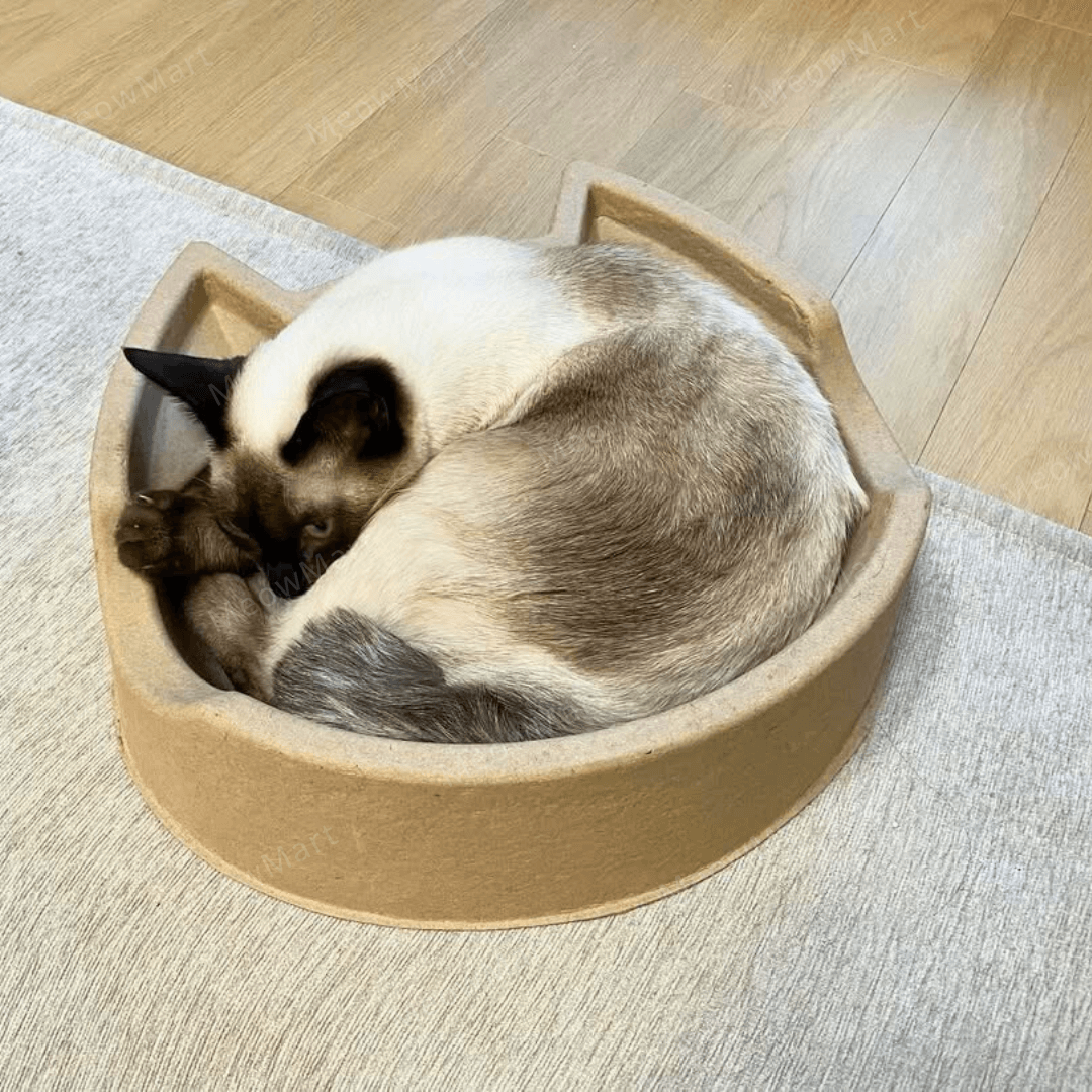 cat bang 紙漿貓窩 (貓頭款)