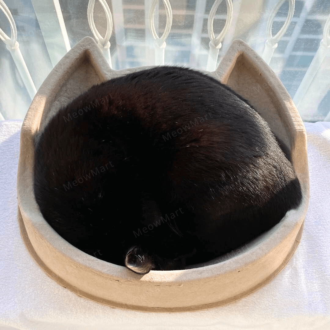 cat bang 紙漿貓窩 (貓頭款)