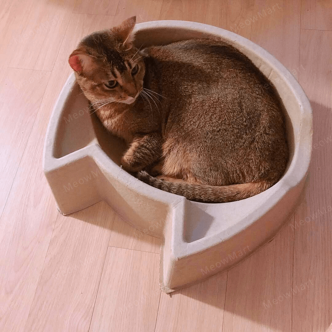 cat bang 紙漿貓窩 (貓頭款)