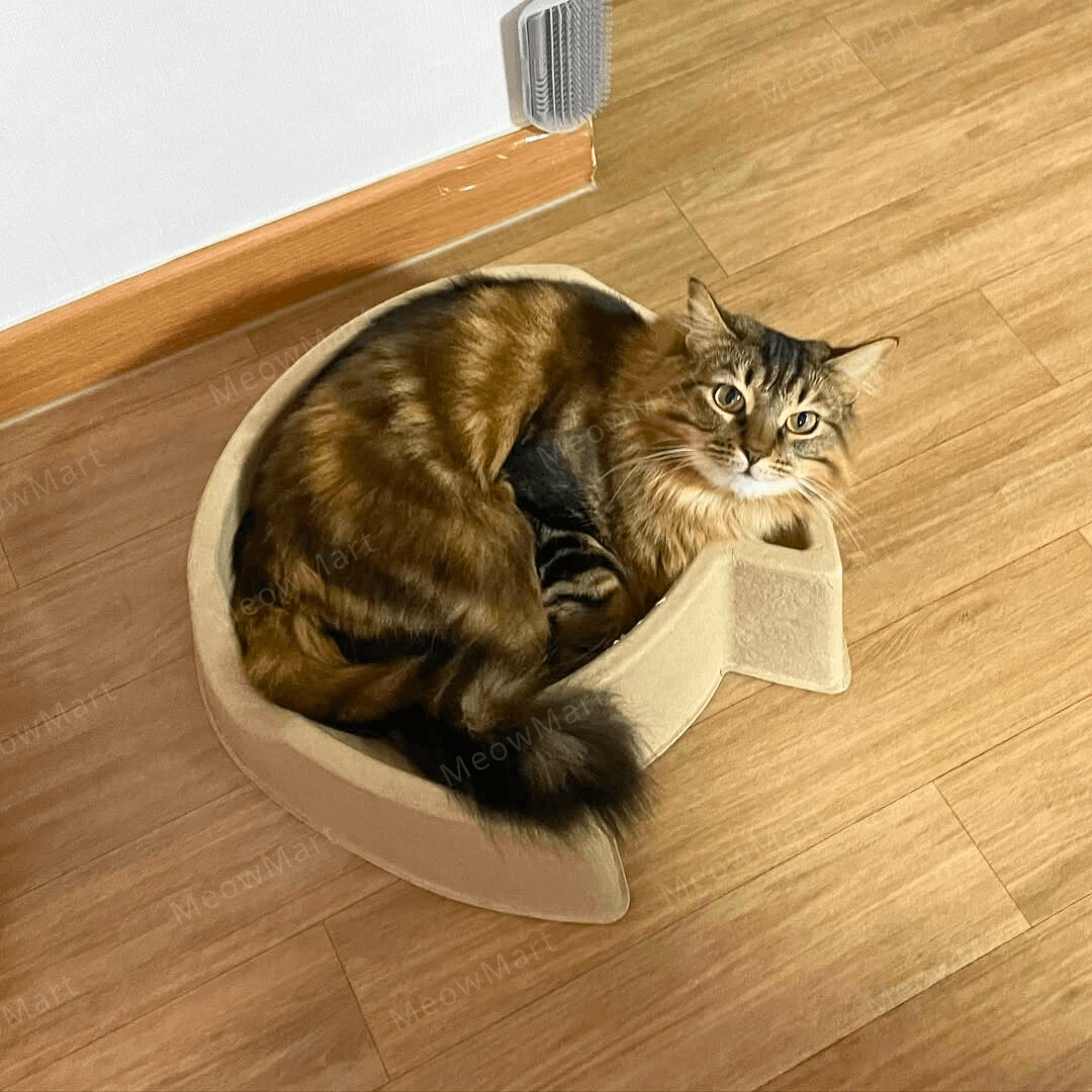 cat bang 紙漿貓窩 (貓頭款)