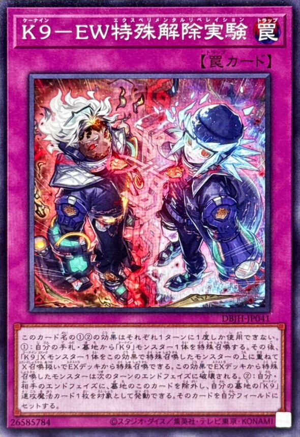 DBJH-JP041 K9EW特殊解除実験