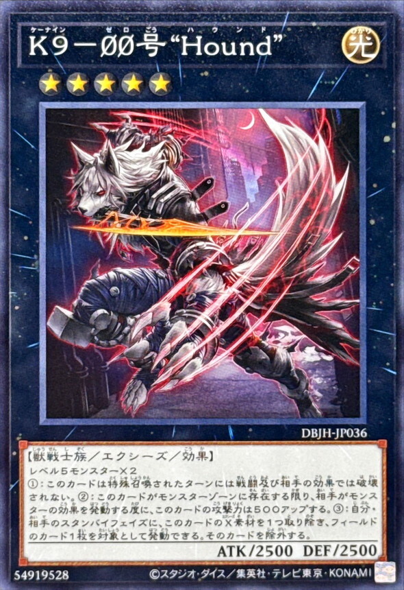 DBJH-JP036 K900号Hound