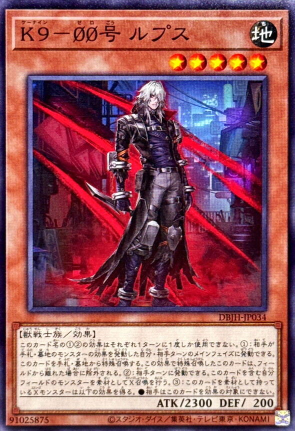 DBJH-JP034 K900号ルプス
