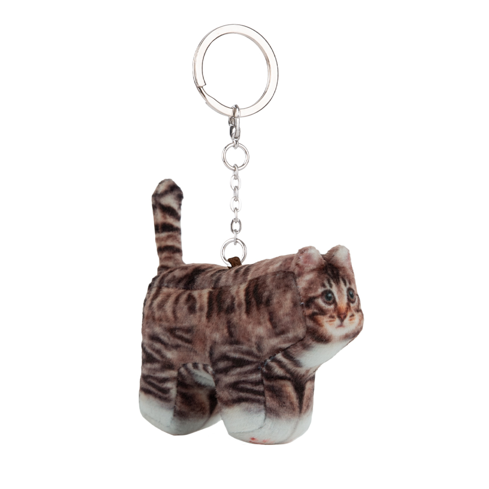 SOFT THUMBNAIL Chovy, Domestic Shorthair