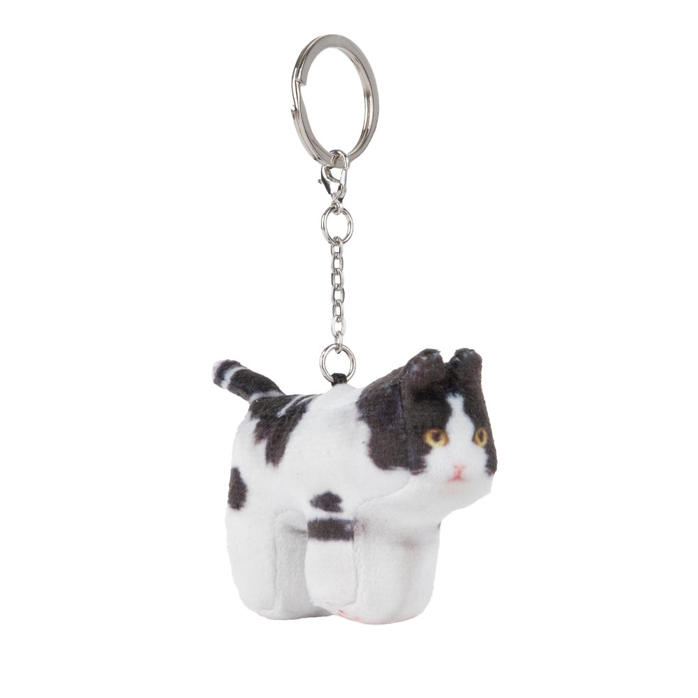 【SOFT THUMBNAIL】 Mumu, Domestic Shorthair Soft thumbnail Mumu, Domestic Shorthair
