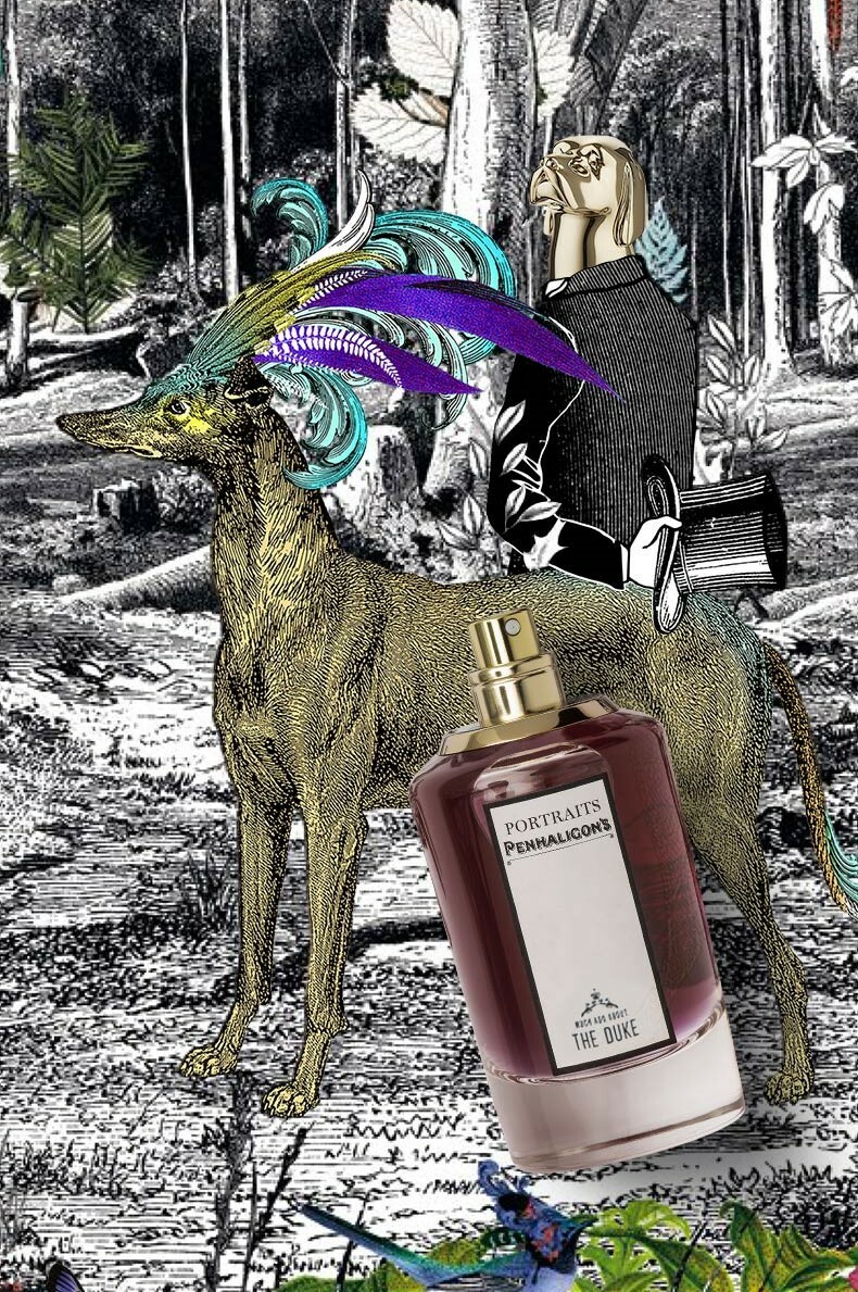 獵犬 Much Ado About The Duke 淡香精