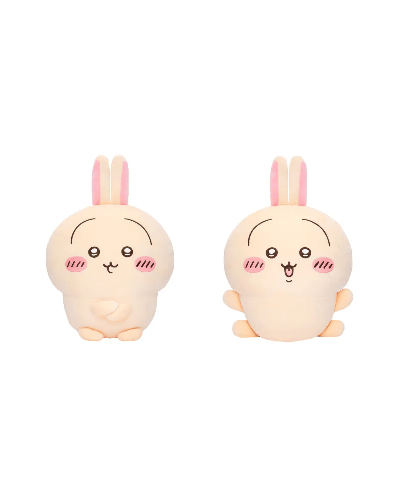 現 貨丨日本Chiikawa Usagi 小兔兔一番賞-A賞