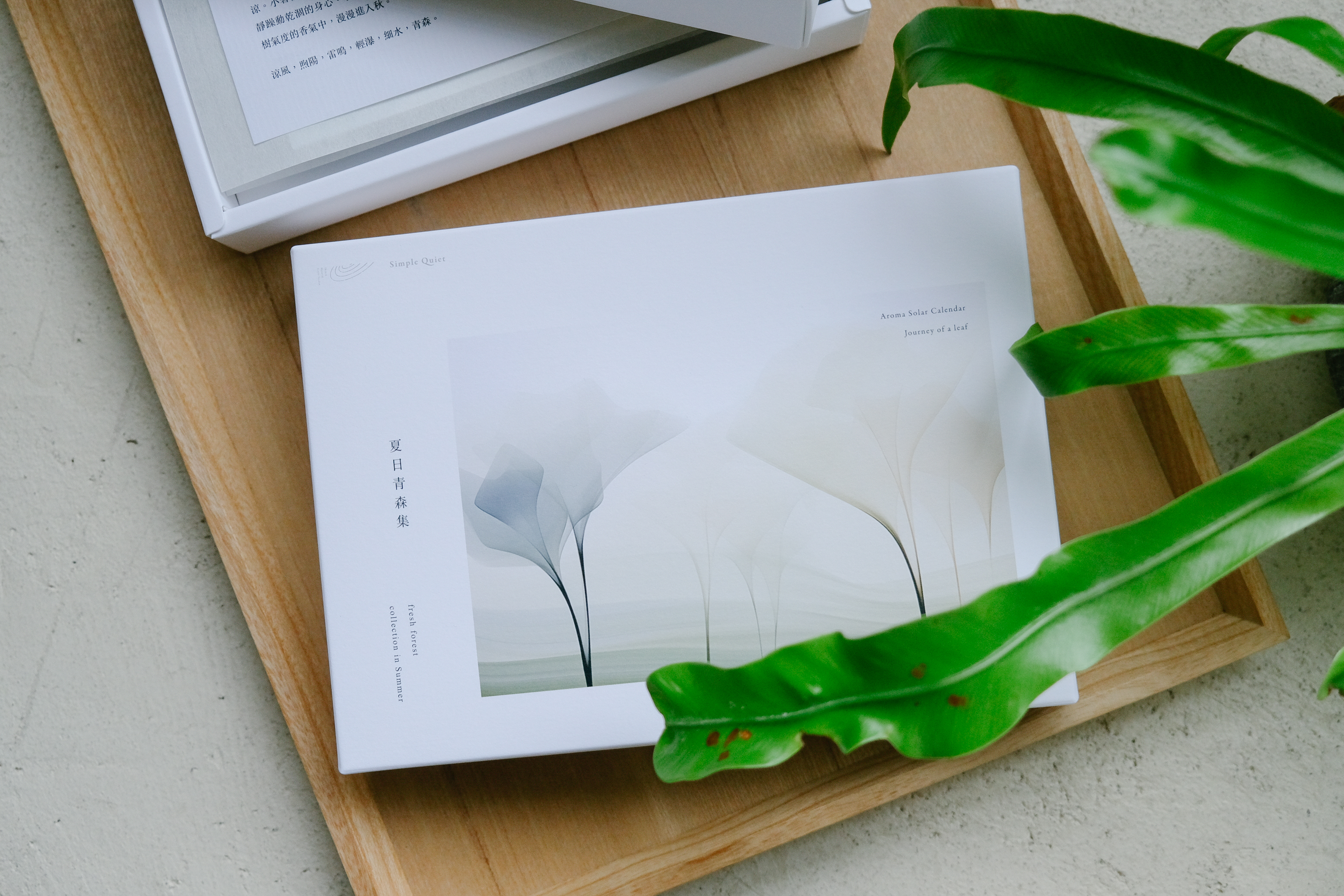 生活用香企劃 | 夏日一葉盒