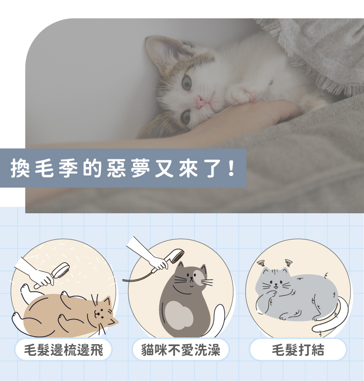 換毛季家裡總是毛毛亂飛嗎?,毛髮邊梳邊飛,貓咪不愛洗澡,毛髮打結