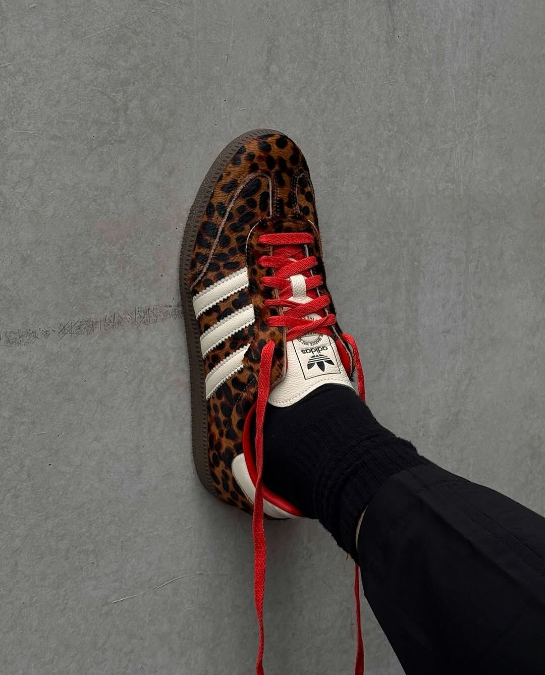 <豹走阿迪> Adidas Wmns Samba OG "Leopard Pack Preloved Red" 豹紋🐆