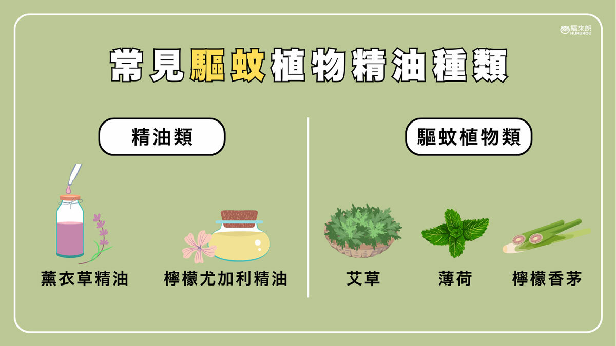 常見驅蚊植物精油種類