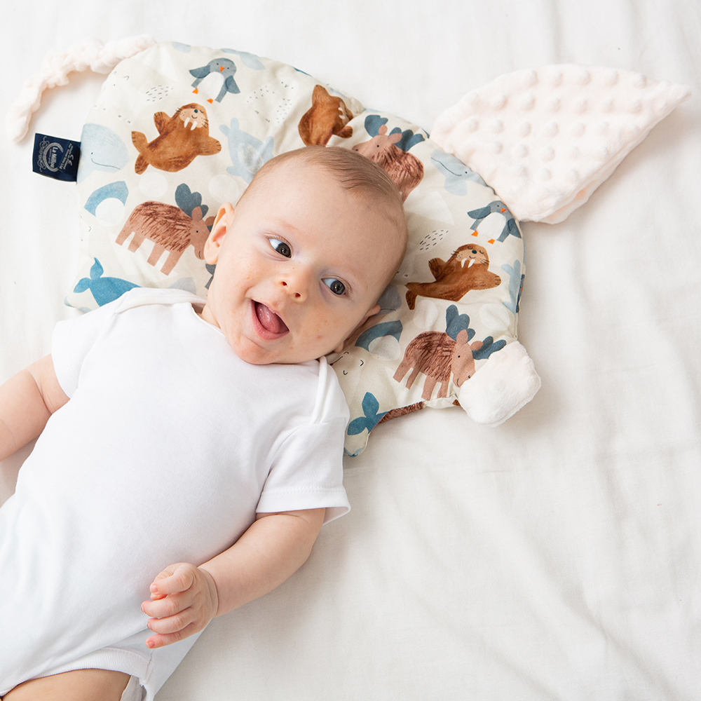 Gift DollBao 新生兒暢銷巾枕(2入組彌月禮盒) (竹纖涼感巾標準款+小豬枕)｜多款可選