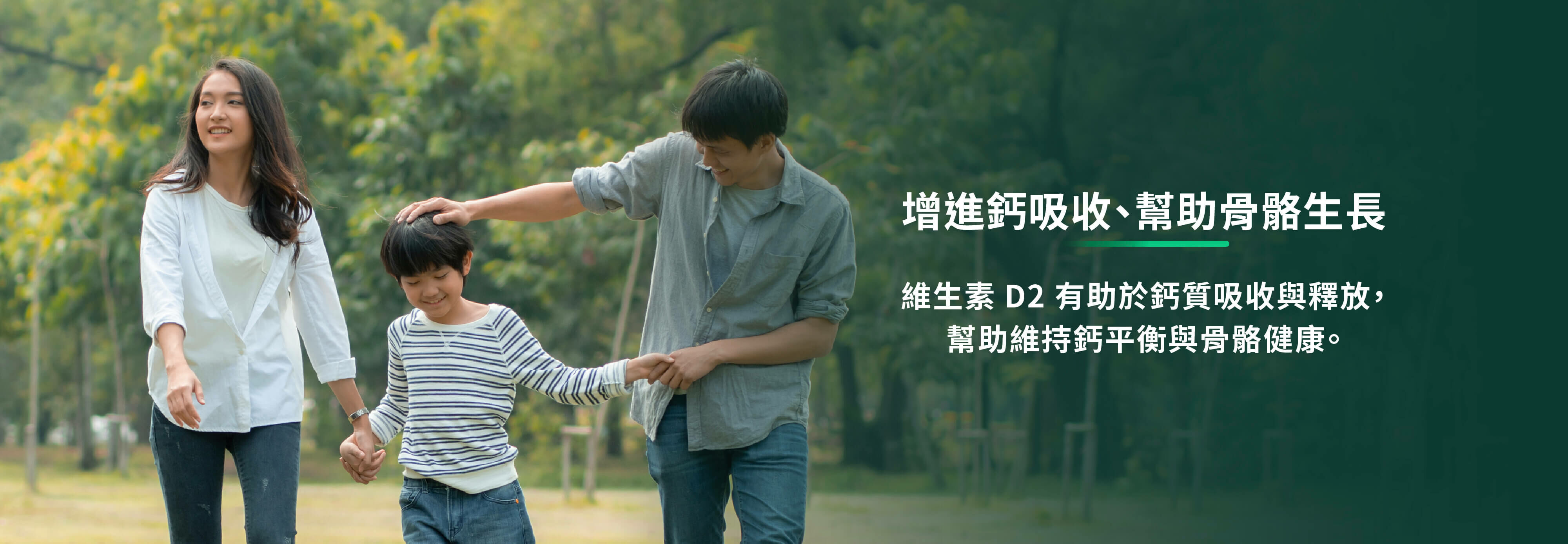 增進鈣吸收、幫助骨骼生長