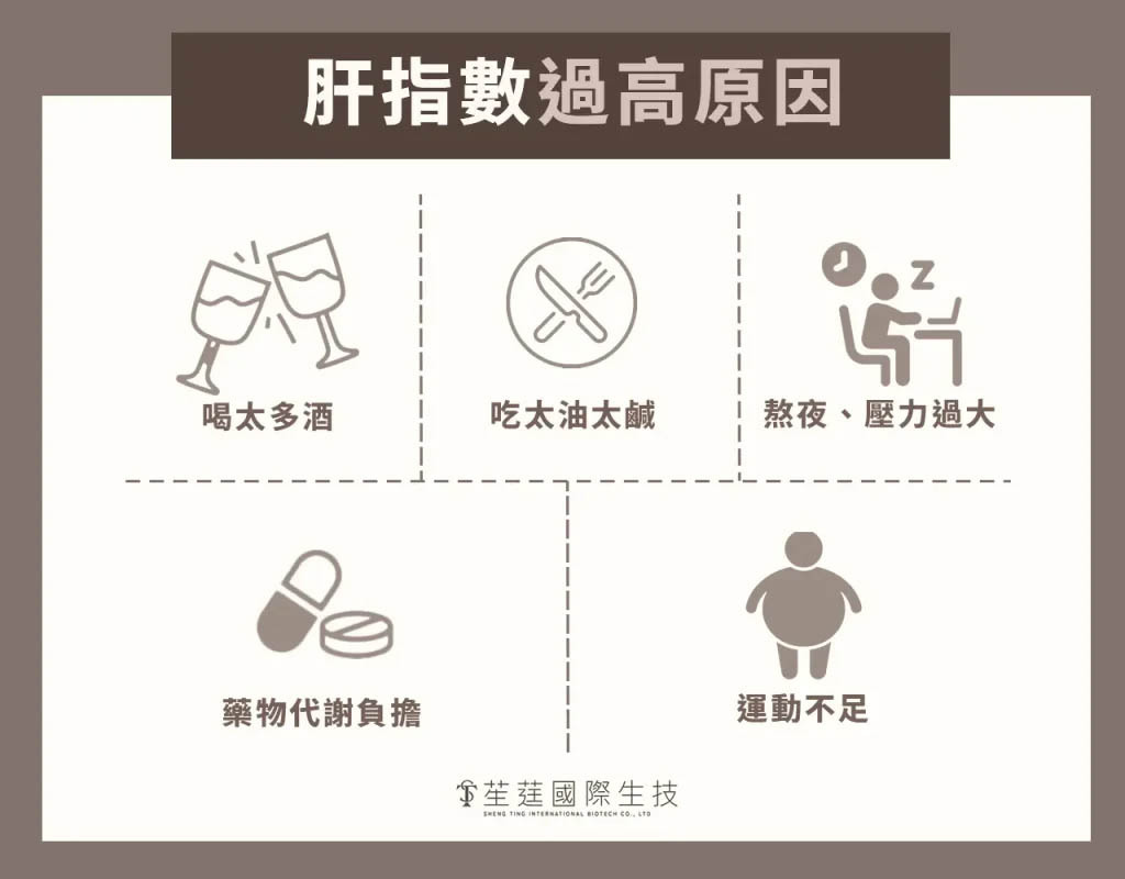 肝指數過高原因
