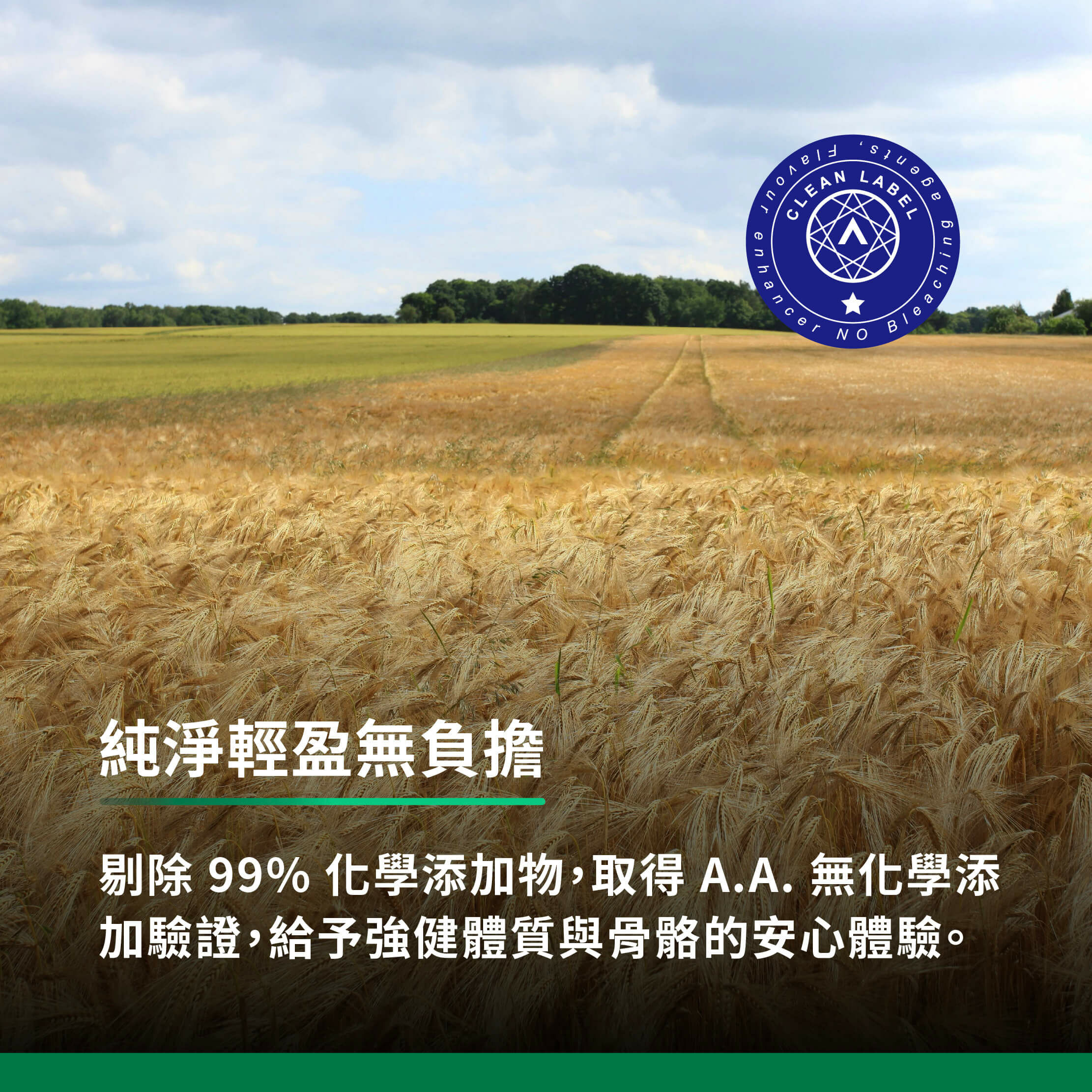 純淨輕盈無負擔