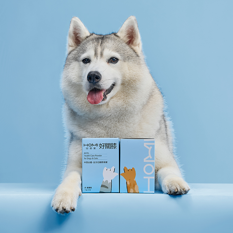 【中型犬貓 3期定期購】HOMI毛與家 好關膝 關節保健粉x4盒