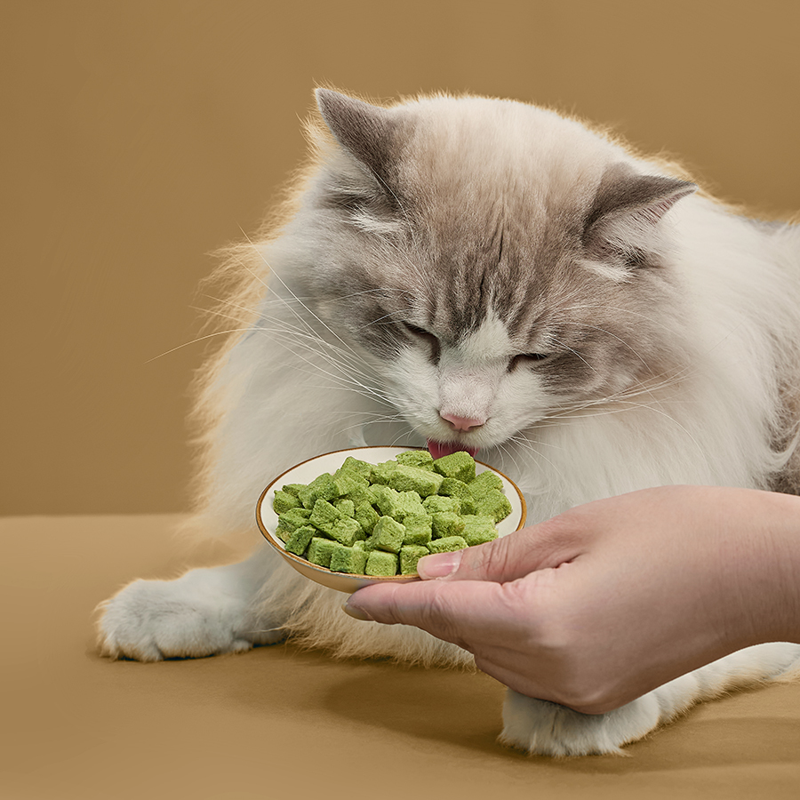 (⏰即期良品)HOMI毛與家 凍未條｜瘋喵mini丁