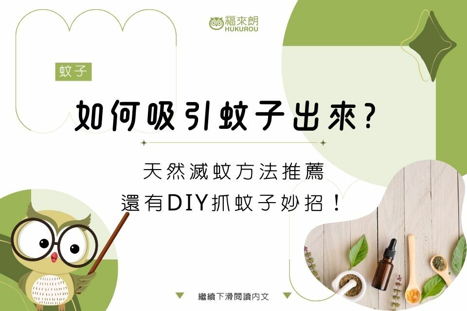 如何有效滅蚊？超簡單天然滅蚊方法推薦！