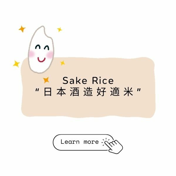 日本清酒，清酒網店，清酒香港，清酒品嚐，清酒配對，清酒文化，清酒愛好者，清酒購買，日本酒款式，清酒專賣店，香港日本清酒，香港清酒網店，清酒品評，清酒進口，日本清酒代理，清酒品牌推薦