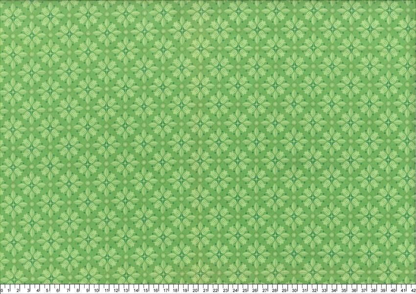 進口棉布R250324-005(一尺)